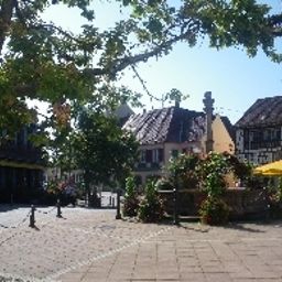Environnement Zénitude hôtel résidence Les Portes d'Alsace Fotos