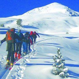  Apartment Fernerkogel Pension Fotos
