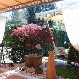 Giardino Regina Fotos