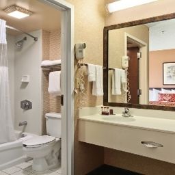 Bathroom Ramada Suites Orlando Airport Fotos