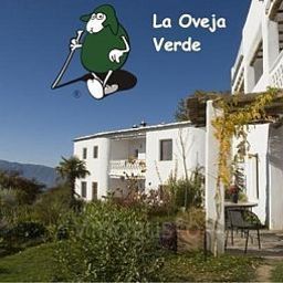 Certificat La Oveja Verde Fotos