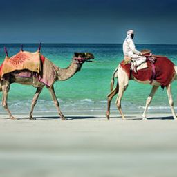 Ausblick Dubai The Ritz-Carlton Fotos
