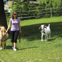  Bauernhof Obermayrgut Fotos