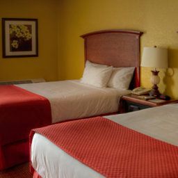 Habitación Rosen Inn Fotos
