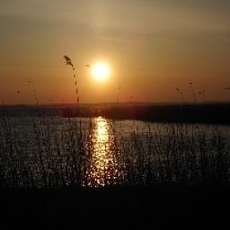 Entorno Landhof Usedom Fotos