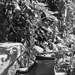 Entorno Comapedrosa Fotos