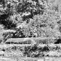 Entorno Comapedrosa Fotos