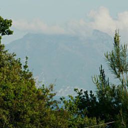 Vue Residenza Le Rose Villa d'Arte Fotos