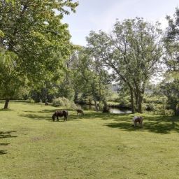  Reethäuser auf Rügen Fotos