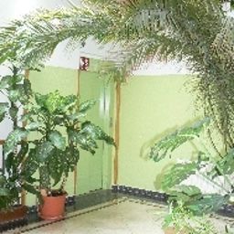Innenansicht Pariz Fotos