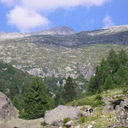 Vue extérieure TRIVENA Schutzhütten Fotos