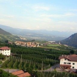  Bauernhof AGRITUR MONTE PIN Fotos