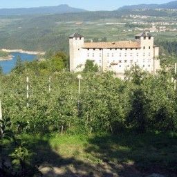  Bauernhof AGRITUR MONTE PIN Fotos