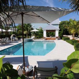 Pool Cotton Tree Fotos