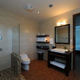 Room Cotton Tree Fotos