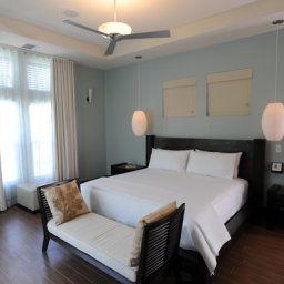 Room Cotton Tree Fotos