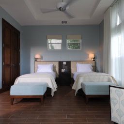 Room Cotton Tree Fotos