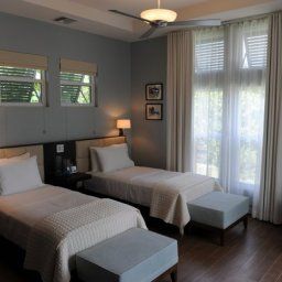 Room Cotton Tree Fotos