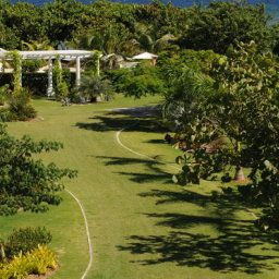 Exterior view Cotton Tree Fotos