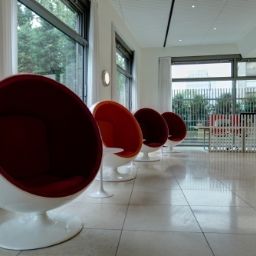  Pestana Tiergarten Fotos