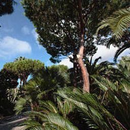 Jardín Park Hotel Terme Mediterraneo Fotos