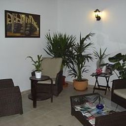 Terrazza Fenix Hostal Fotos