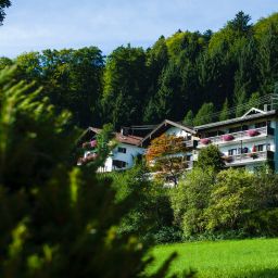 Panorama am Bergwald Fotos