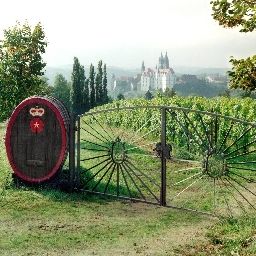 Umgebung Schloss Proschwitz Weingutspension Fotos