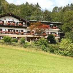  am Bergwald Fotos