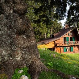 Apartments Alpinka Cerklje na Gorenjskem