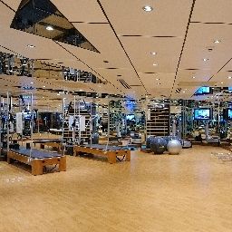 Fitness Rixos Elysium Suites Taksim Fotos