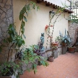Jardin Alexis Fotos