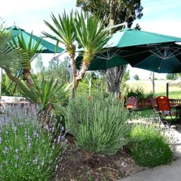 Jardin Aube Nouvelle Logis Fotos