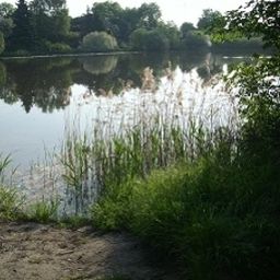  Hönower Hof Fotos