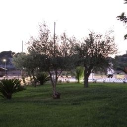 Garden Borgo Don Chisciotte Fotos