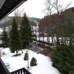Vue Schwanen Fotos
