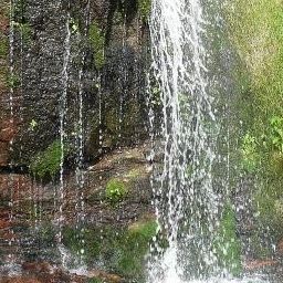  Schwanen Fotos