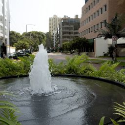  Roosevelt Hotel & Suites Fotos