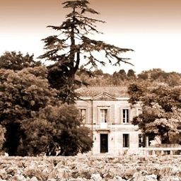 Vue extérieure Chateau Rousselle Chambres d'hotes Fotos