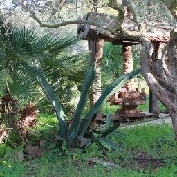 Garten Tenuta Volpara Fotos