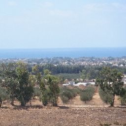 Panorama Tenuta Volpara Fotos
