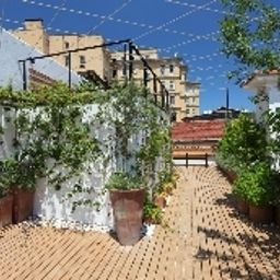 Terrace Lush Houses Mis Sokak Fotos