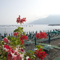  Panorama Fotos