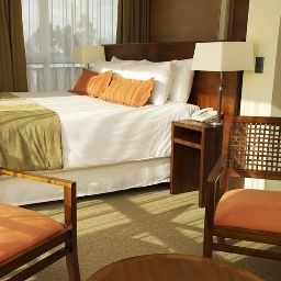 Suite Solace Fotos