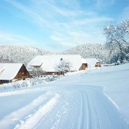  Kurgarten Fotos