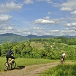  Kurgarten Fotos