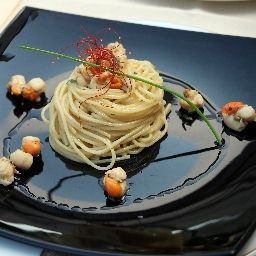 Cucina Elite Fotos