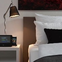 Habitación Wyndham (ex SIR Friedrich Hotel Mannheim) Fotos