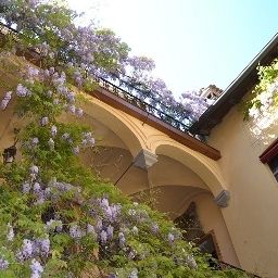 Innenansicht Palazzo Dalla Rosa Prati Fotos