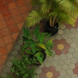 Garten Check Inn Siem Reap Fotos